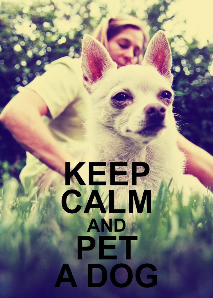 How to use memes in content marketing